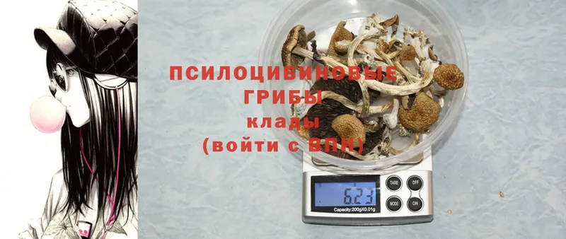 Галлюциногенные грибы Magic Shrooms  mega ССЫЛКА  Краснокамск 